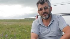 ARI İLE ÇİÇEĞİN ARASINA GİRİLMEZ