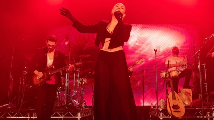 ZİYNET SALİ’DEN LONDRA’DA 25. YILA GÖRKEMLİ FİNAL