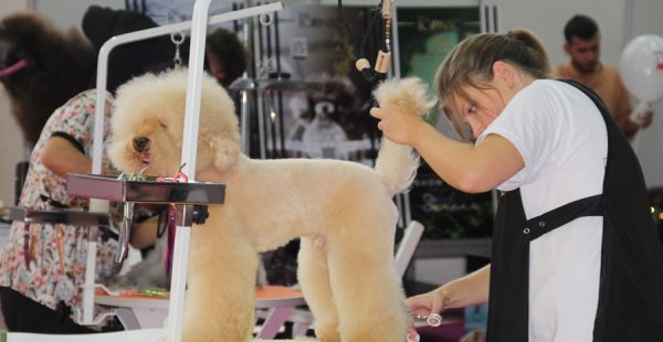 EVCİL HAYVAN SEKTÖRÜNÜN BULUŞMA NOKTASI